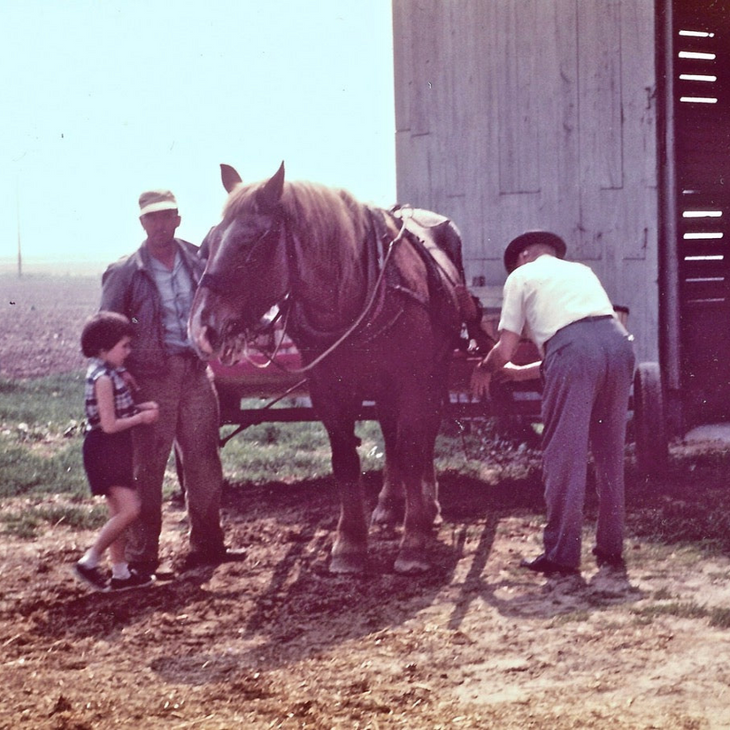 Culver Family Farms | Culver Family Farms
